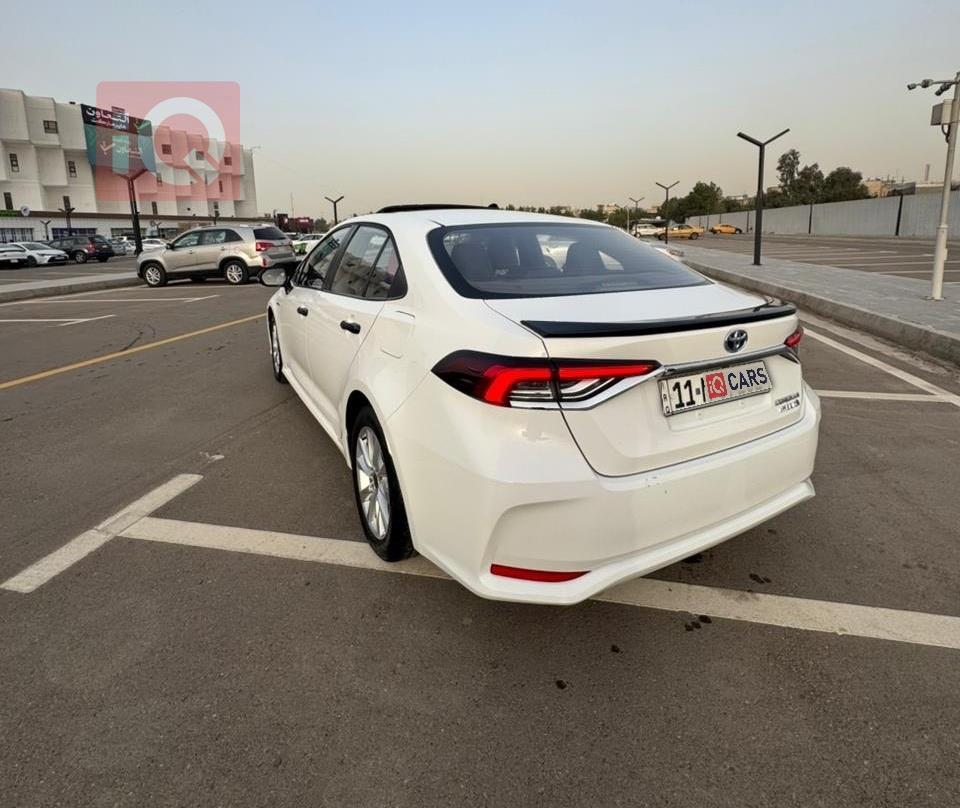 تويوتا كورولا